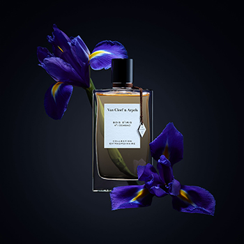 Van Cleef & Arpels - Bois D'Iris (Collection Extraordinaire) eau de parfum parfüm hölgyeknek