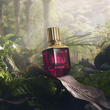 Roberto Cavalli - Paradise Found eau de parfum parfüm hölgyeknek