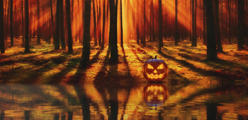 Halloween – Egy illatmárka, ami túlmutat az ünnepen