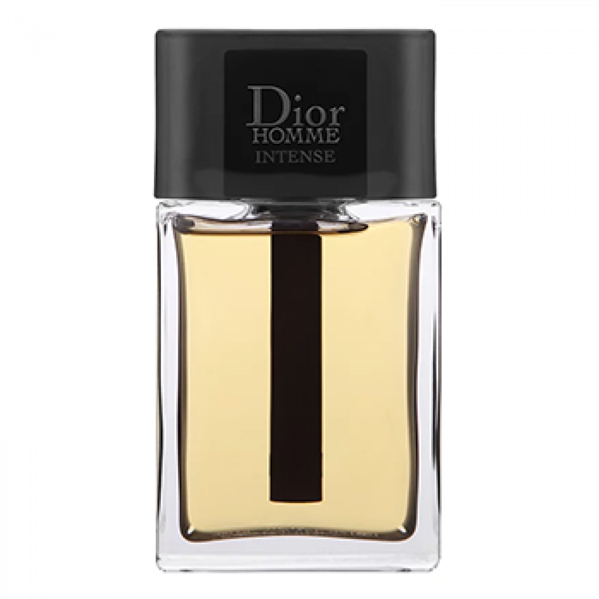 Christian dior dior homme 2011 shop