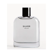 Zara - Man Silver