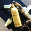 Montale - Aoud Damascus eau de parfum parfüm unisex