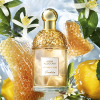 Guerlain - Aqua Allegoria Nettare Di Sole eau de toilette parfüm hölgyeknek