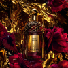 Guerlain - Absolus Allegoria Rose Amira eau de parfum parfüm unisex