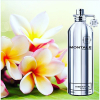 Montale - Jasmin Full eau de parfum parfüm unisex