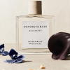 Allsaints - Concrete Rain eau de parfum parfüm unisex