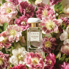 Aerin Lauder - Mediterranean Honeysuckle Figue eau de parfum parfüm hölgyeknek