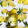 Dolce & Gabbana - Lemon eau de toilette parfüm unisex