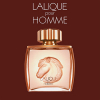 Lalique - Pour Homme Equus eau de parfum parfüm uraknak