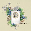 Atkinsons  - Spice Of London parfum parfüm unisex