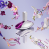 Calvin Klein - Euphoria szett II. eau de parfum parfüm hölgyeknek