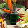 Roberto Cavalli - Paradise Found eau de toilette parfüm uraknak