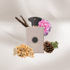 Amouage - Opus XII Rose Incense eau de parfum parfüm unisex