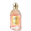 Guerlain - Aqua Allegoria Forte Rosa Palissandro eau de parfum parfüm unisex