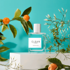 Clean - Shower Fresh eau de parfum parfüm hölgyeknek