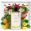 Van Cleef & Arpels - Néroli Amara (Collection Extraordinaire) eau de parfum parfüm unisex