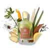 Creed - Tabarome eau de parfum parfüm uraknak