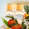 Prada - Infusion Mandarine eau de parfum parfüm unisex