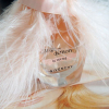 Givenchy - Ange Ou Demon Le Secret (2009) eau de parfum parfüm hölgyeknek