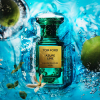 Tom Ford - Azure Lime eau de parfum parfüm unisex