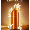 Montale - Orange Flowers eau de parfum parfüm unisex