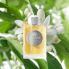 Atkinsons  - Scilly Neroli eau de parfum parfüm unisex