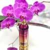 Montale - Orchid Powder eau de parfum parfüm unisex
