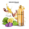 Montale - Aoud Leather eau de parfum parfüm unisex