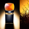 Bvlgari - Le Gemme Tygar  eau de parfum parfüm uraknak