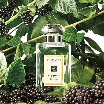 Jo Malone - Blackberry & Bay eau de cologne parfüm hölgyeknek