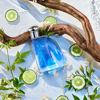 Nautica - Nautica Blue eau de toilette parfüm uraknak