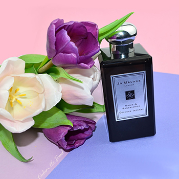 Jo Malone - Orris & Sandalwood eau de cologne parfüm unisex