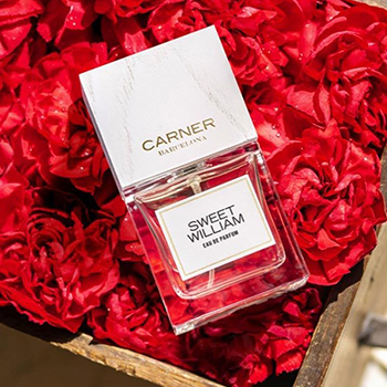 Carner - Sweet William eau de parfum parfüm unisex