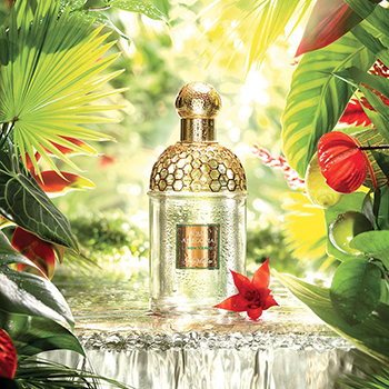 Guerlain - Aqua Allegoria Limon Verde eau de toilette parfüm hölgyeknek