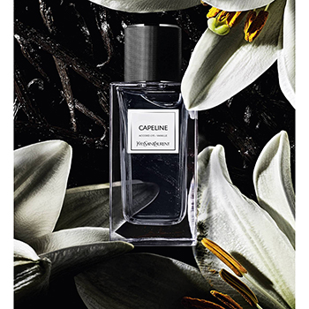 Yves Saint-Laurent - Capeline eau de parfum parfüm unisex