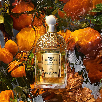 Guerlain - Aqua Allegoria Forte Mandarine Basilic eau de parfum parfüm hölgyeknek