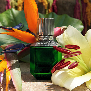 Roberto Cavalli - Paradise Found eau de toilette parfüm uraknak