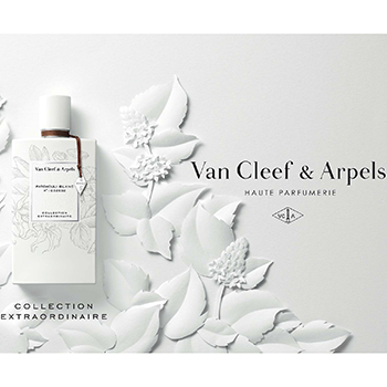 Van Cleef & Arpels - Patchouli Blanc (Collection Extraordinaire) eau de parfum parfüm unisex