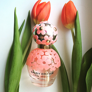 Marc Jacobs - Daisy Dream Blush eau de toilette parfüm hölgyeknek