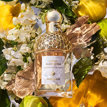 Guerlain - Aqua Allegoria Bergamote Calabria (2017) eau de toilette parfüm unisex