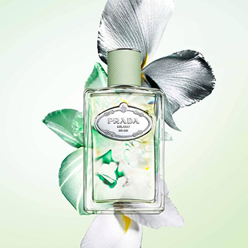 Prada - Infusion D'Iris (2024) eau de parfum parfüm hölgyeknek