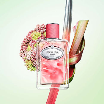 Prada - Infusion de Rhubarbe eau de parfum parfüm unisex
