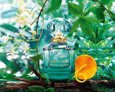 Roberto Cavalli - Gemma di Paradiso eau de parfum parfüm hölgyeknek