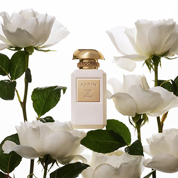 Aerin Lauder - Rose De Grasse eau de parfum parfüm hölgyeknek