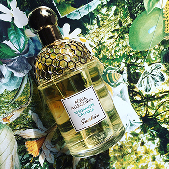 Guerlain - Aqua Allegoria Bergamote Calabria eau de toilette parfüm unisex