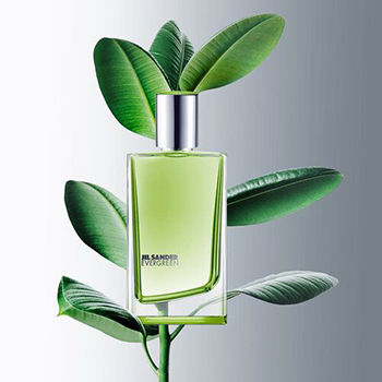 Jil Sander - Evergreen eau de toilette parfüm hölgyeknek