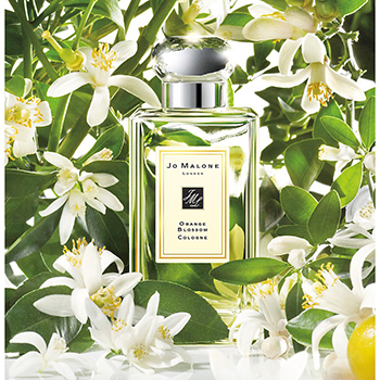 Jo Malone  - Orange Blossom eau de cologne parfüm unisex