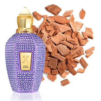 Xerjoff - Purple Accento eau de parfum parfüm unisex