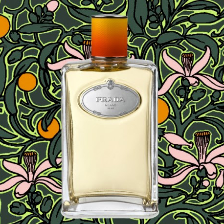 Prada - Fleur d' Oranger (2009) eau de parfum parfüm hölgyeknek