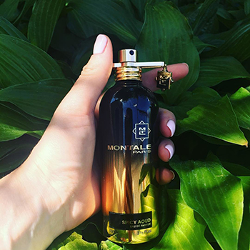 Montale - Spicy Aoud eau de parfum parfüm unisex